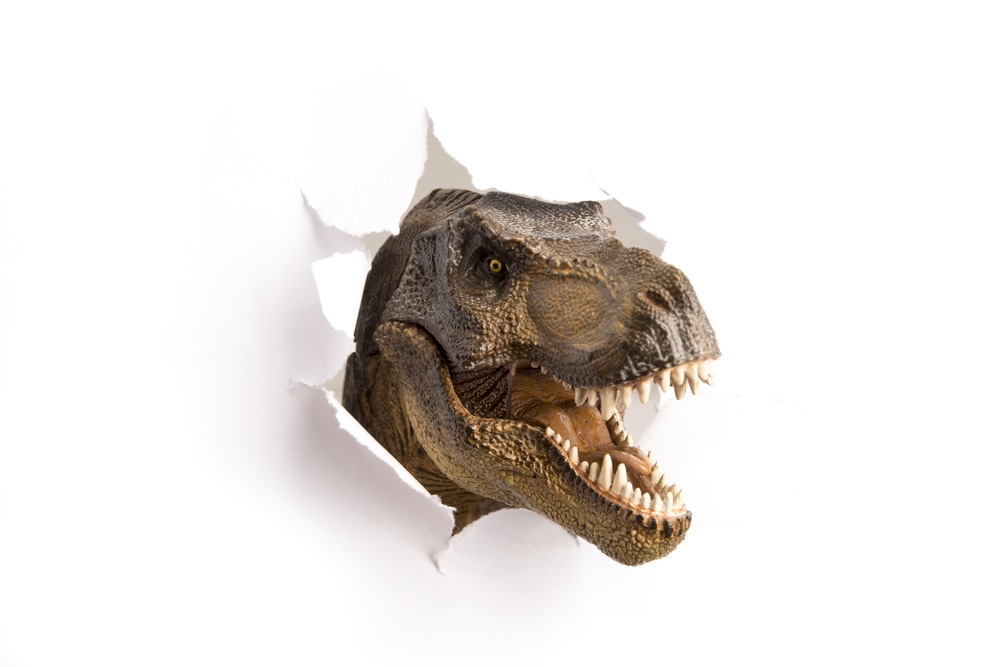 Dinotracks First Sunday Tour